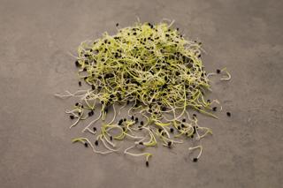 Purjolöksgroddar EKO KRAV Sverige