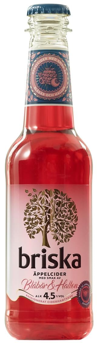 Briska Blåbär & Hallon PET