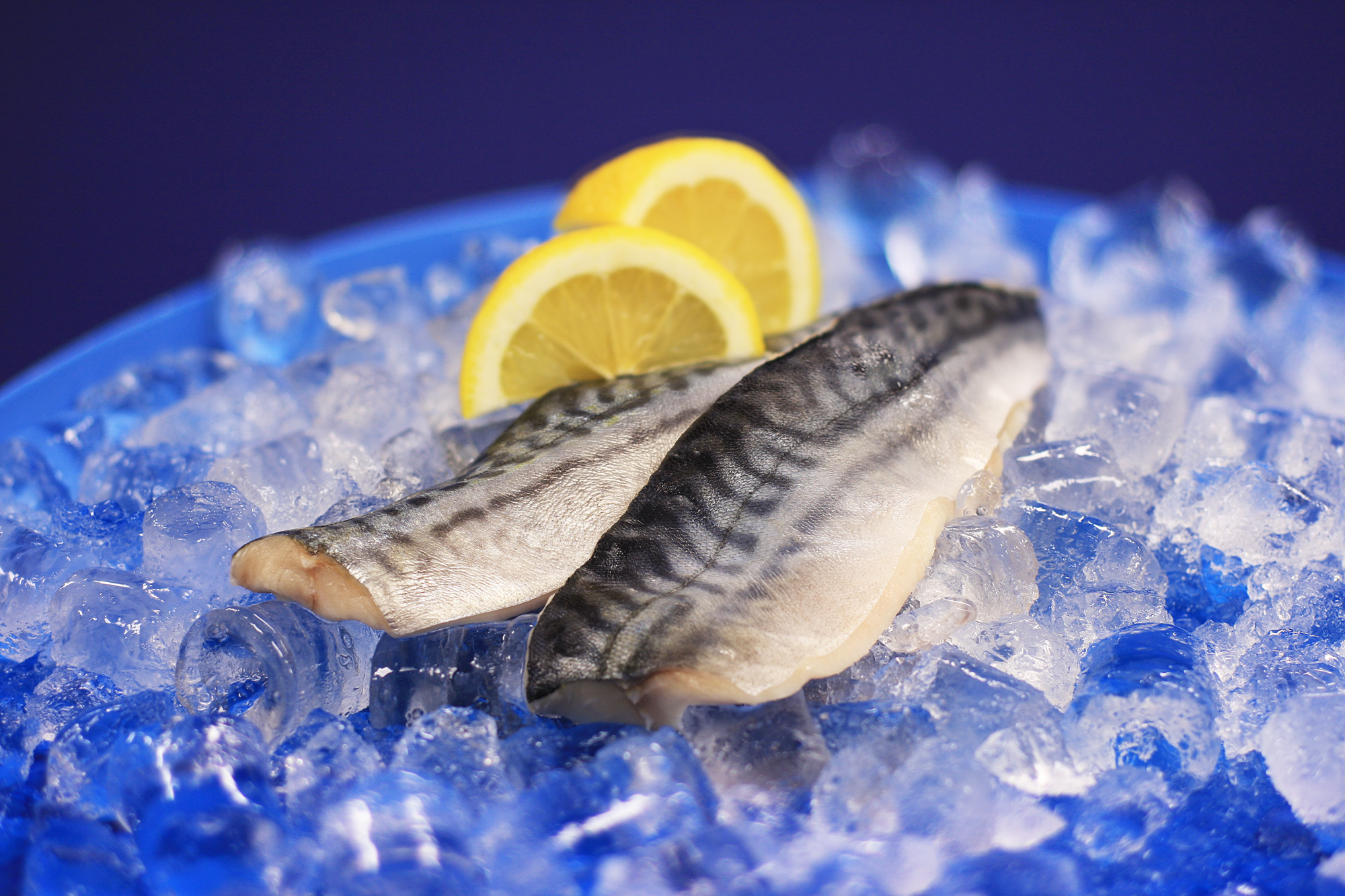 Makrillfilé med Skinn