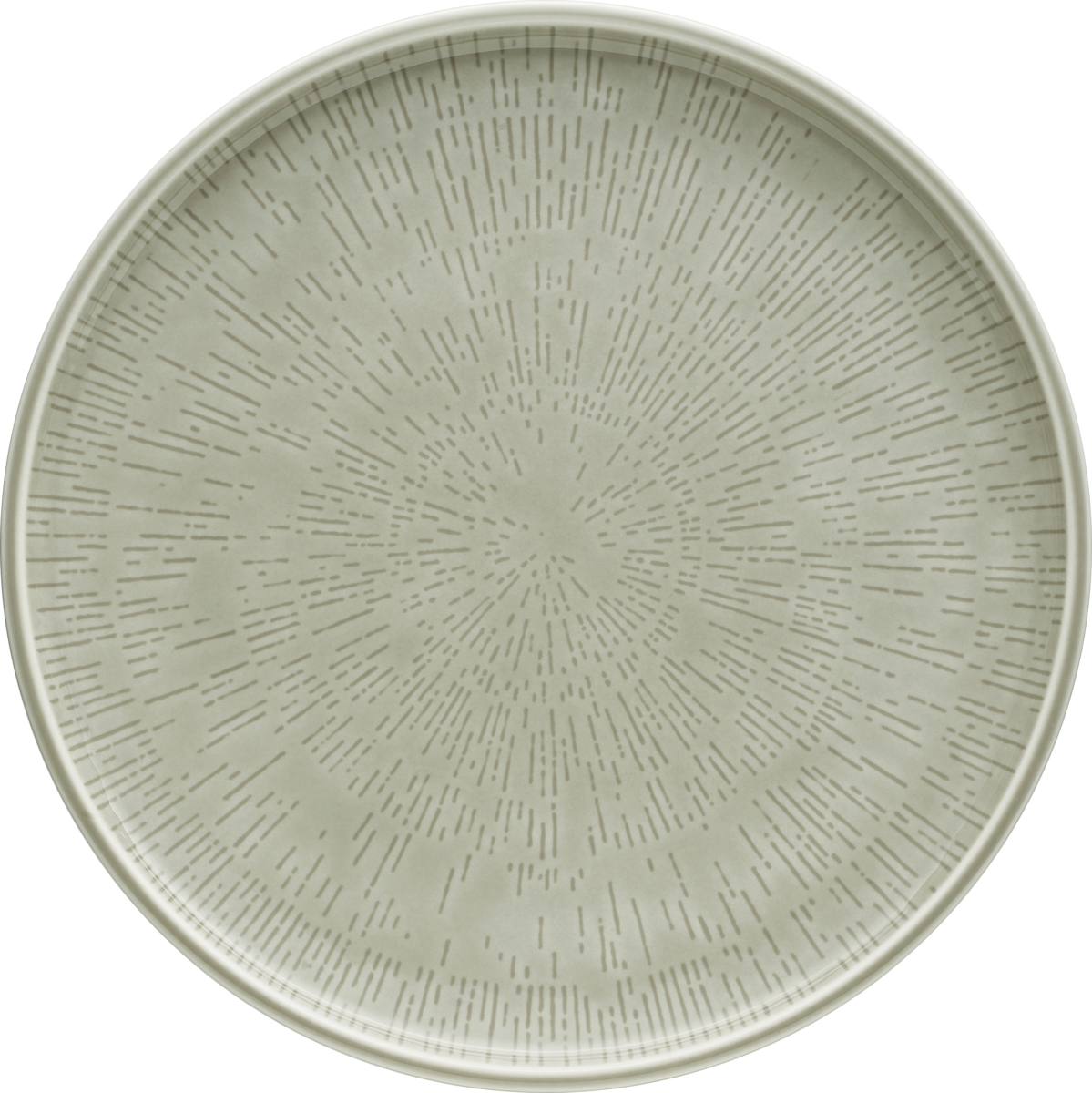 Shiro tallrik flat coupe struktur steam Ø28cm