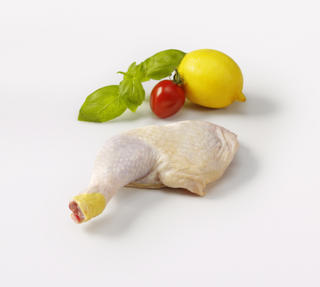 Majskycklingklubba utan Ryggben