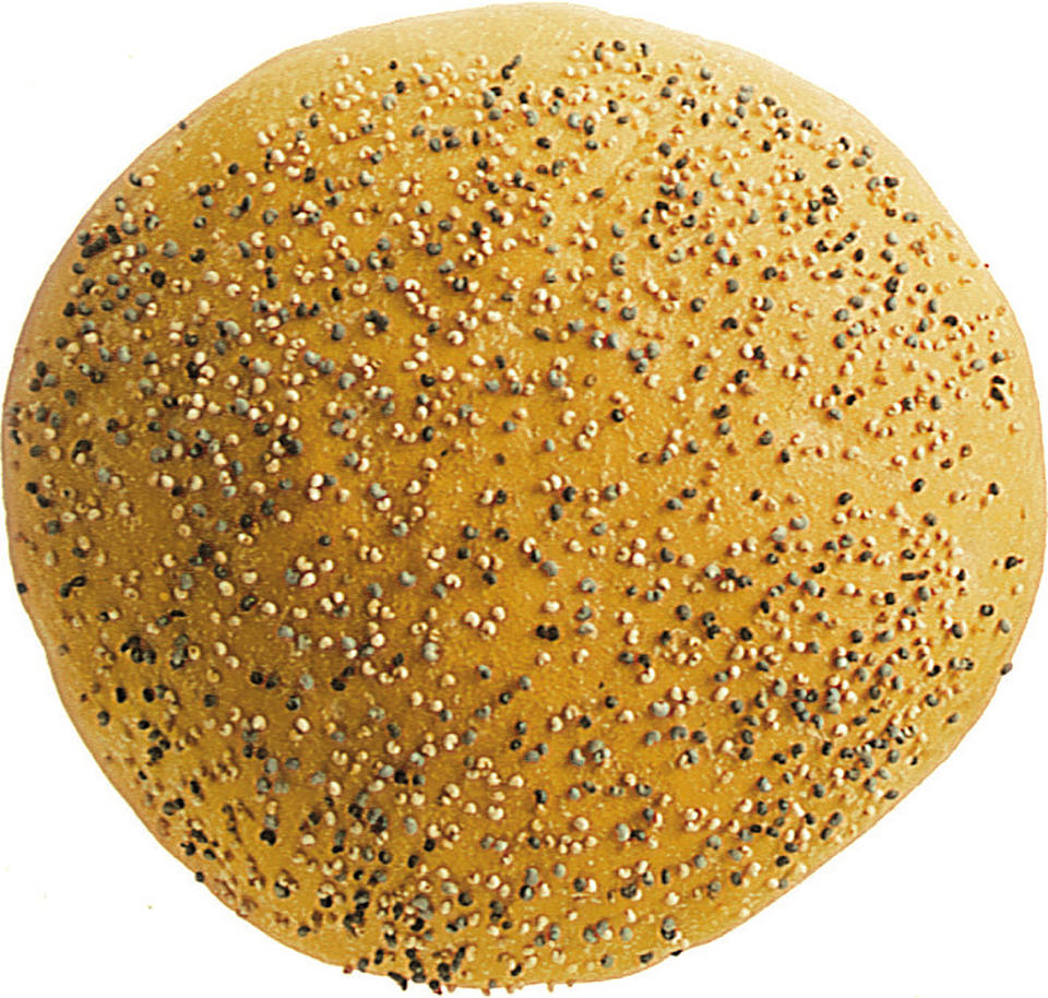 401231