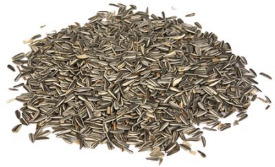 Solrosfrö strimmigt