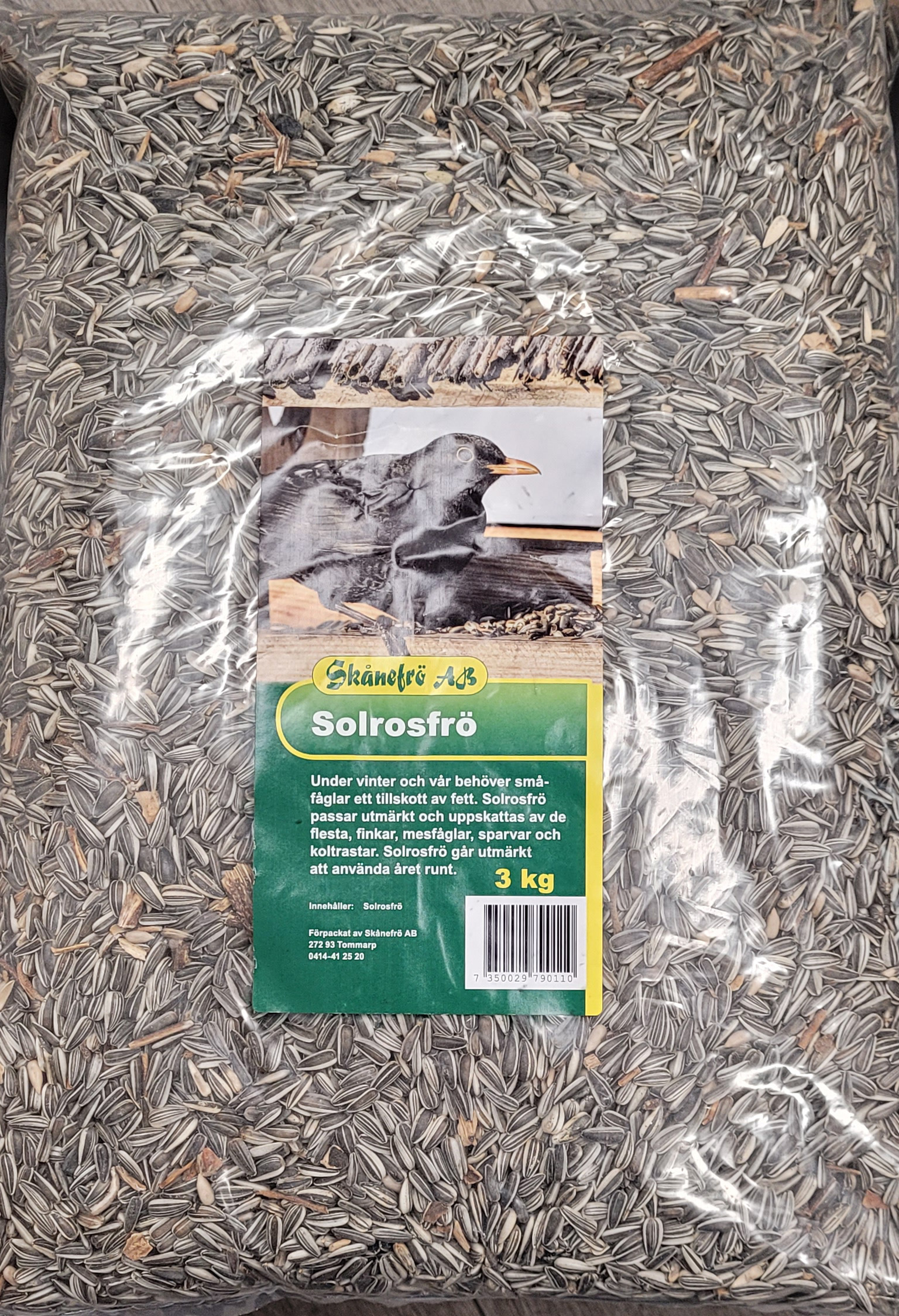 Solrosfrö Strimmigt