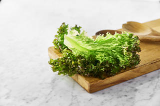 Sallat Lollo Rosso Hela Blad