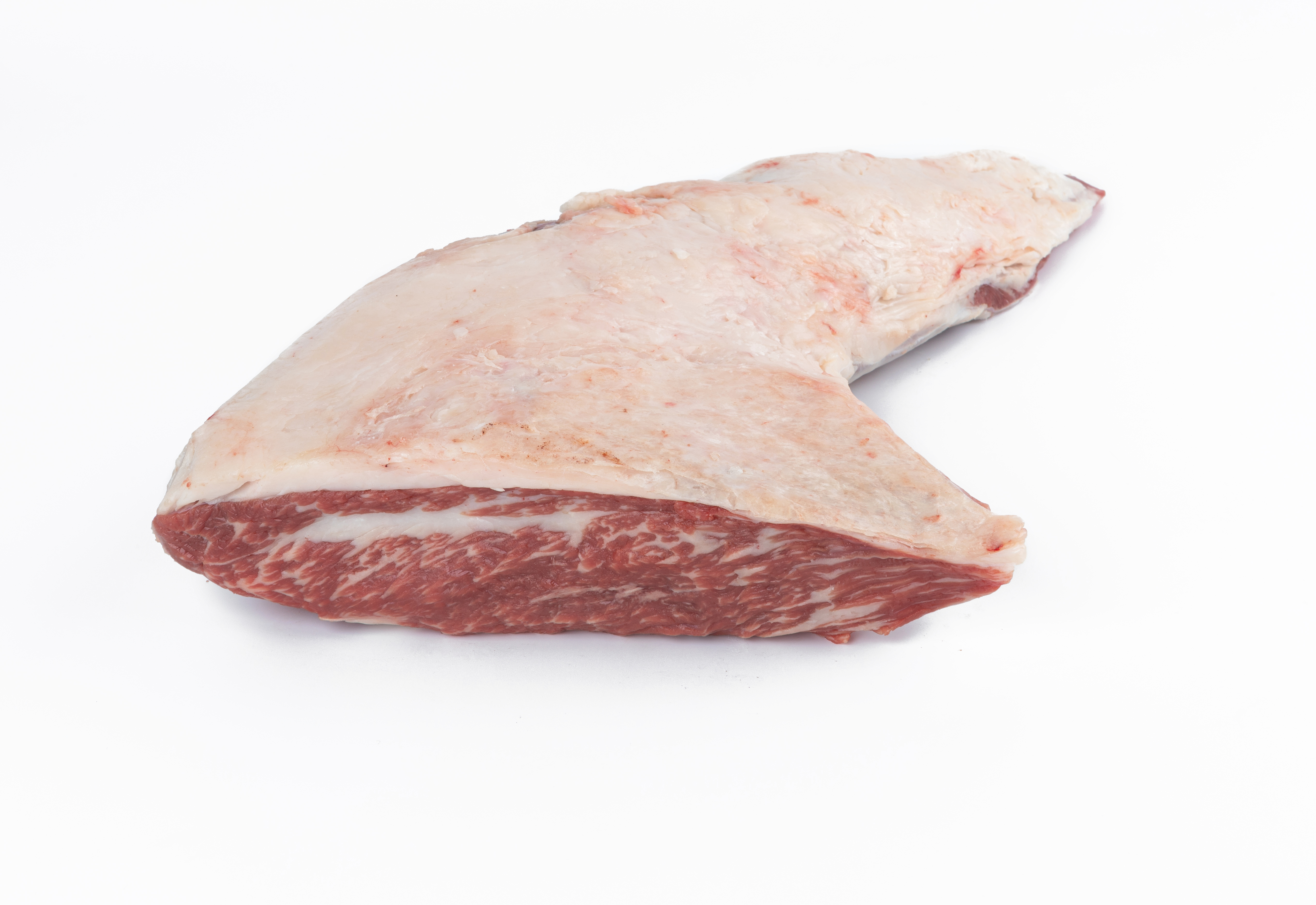 Tritip