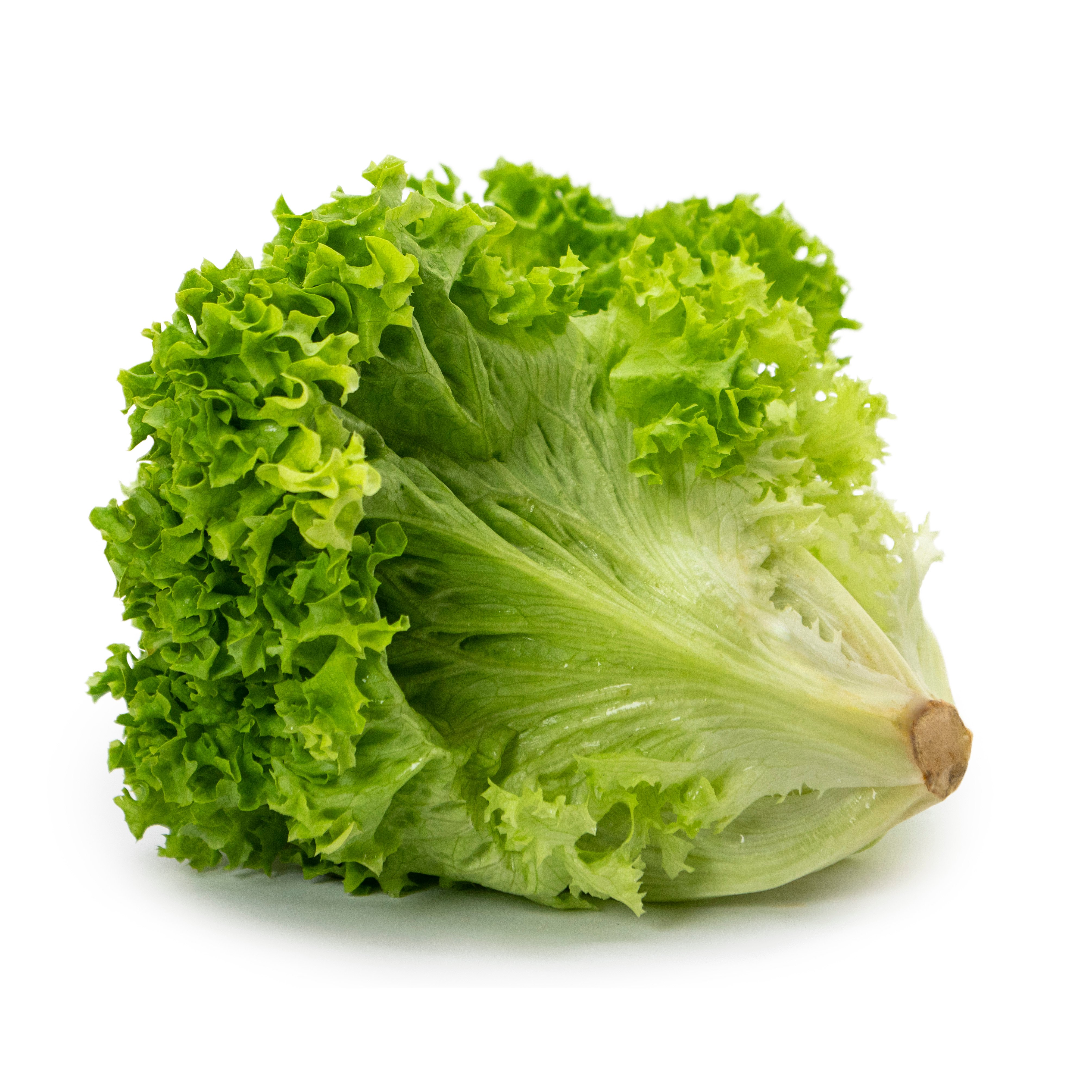 Sallat Lollo Biondo Klass 1 Sverige