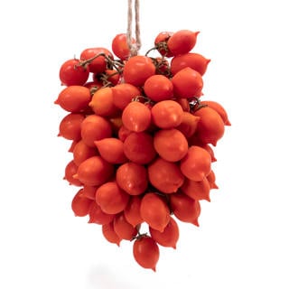 Tomat Piennolo Klass 1