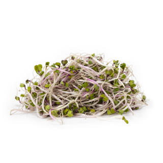 China Rose Groddar EKO KRAV Sverige