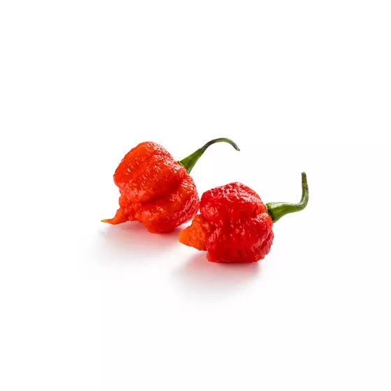 Peppar Carolina Reaper Red