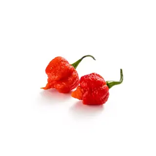 Peppar Carolina Reaper Red
