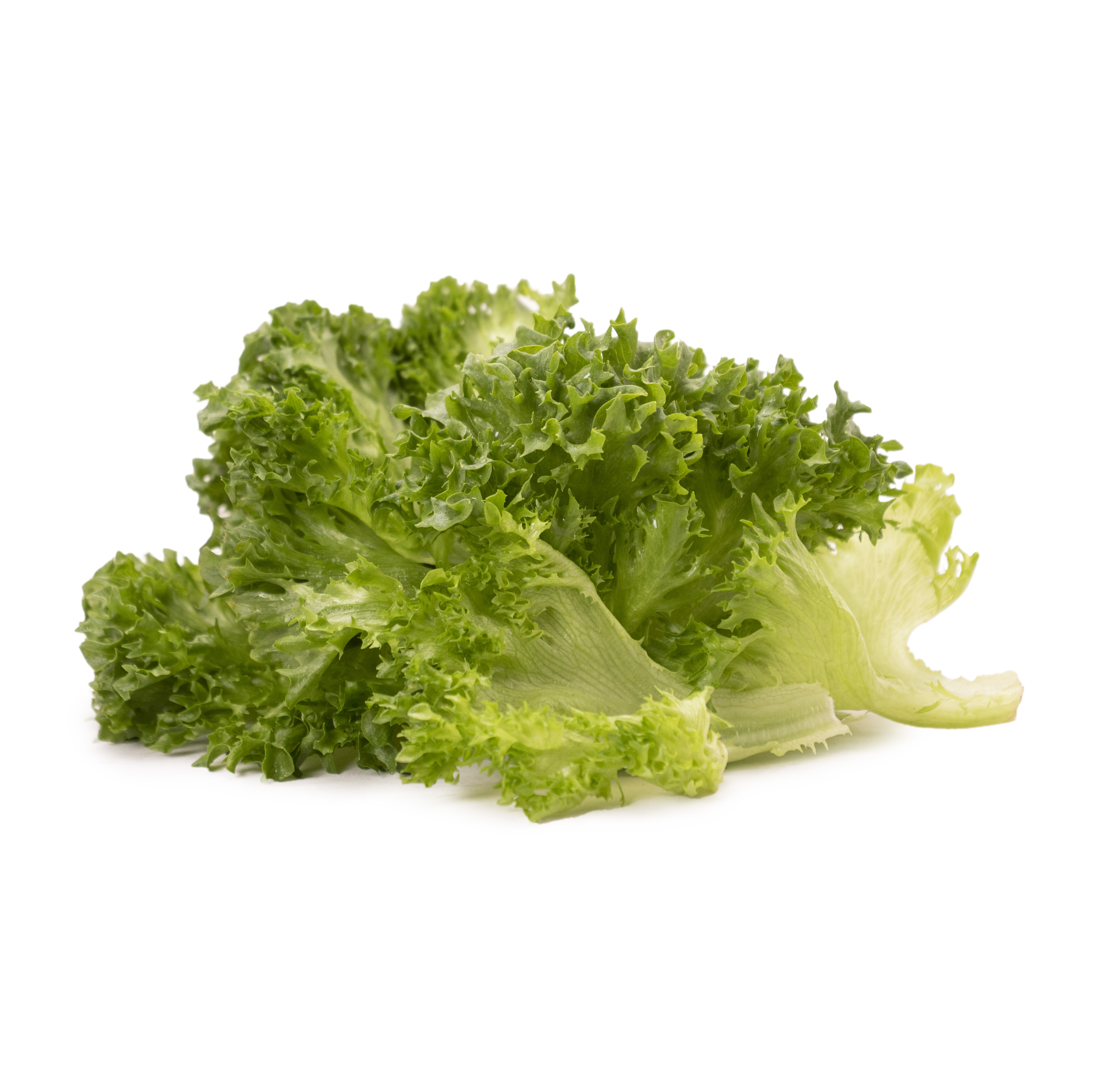 Krispsallatsblad i Lösvikt Klass 1