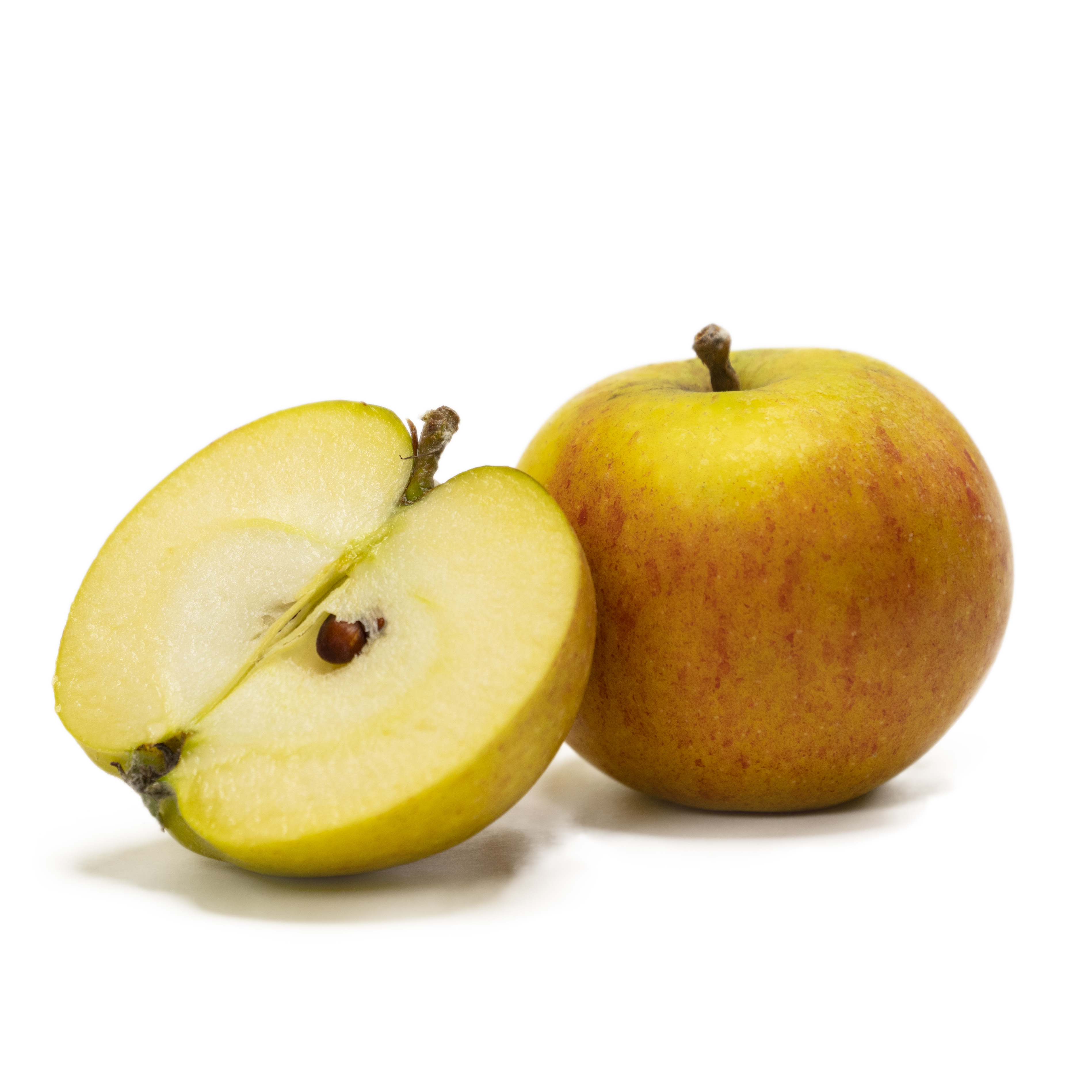 Äpple Cox Orange Klass 1 Sverige