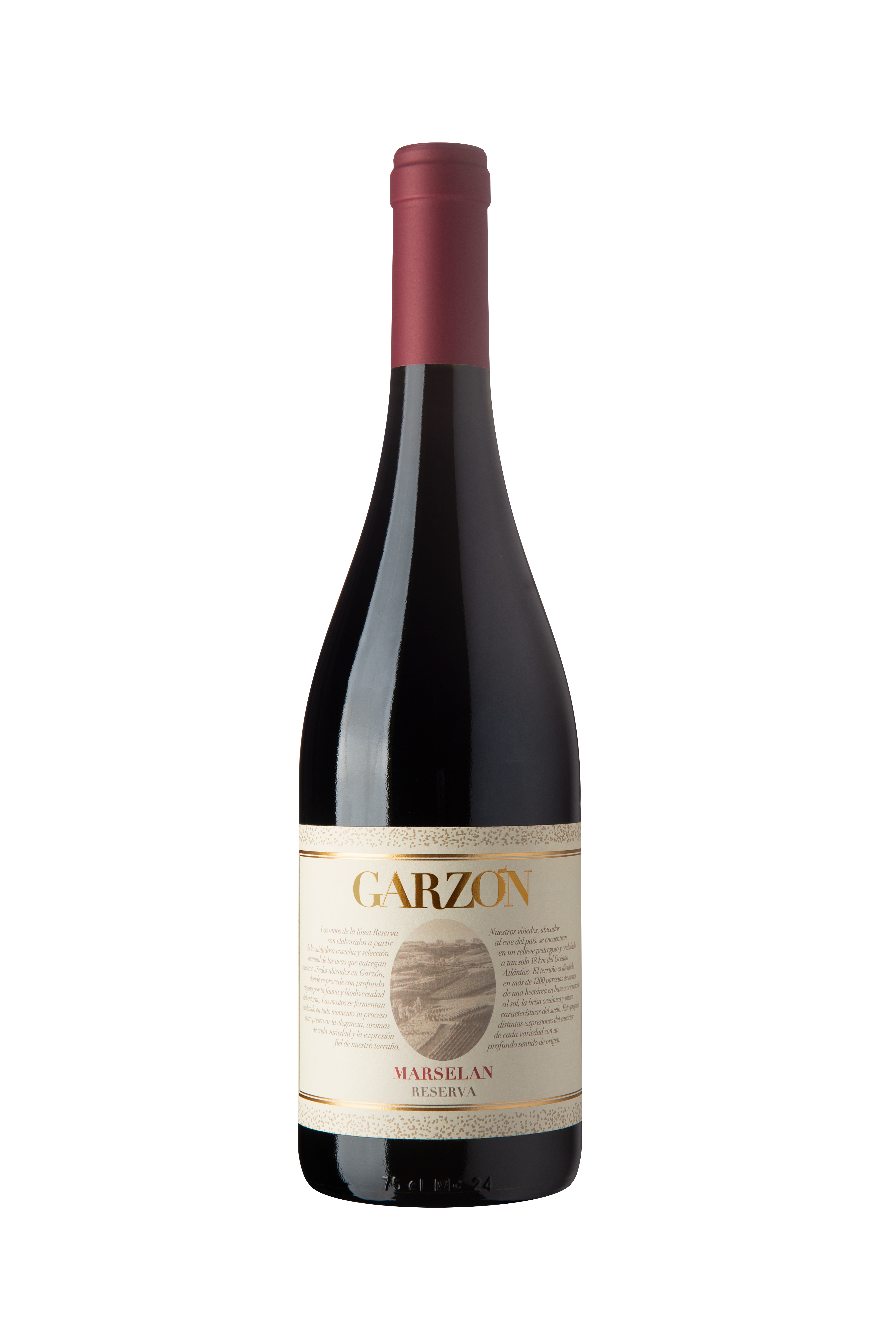 Garzón Marselan Reserva