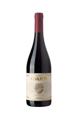 Garzón Marselan Reserva
