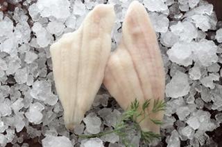 Stillahavskungsflundra 120-160g MSC