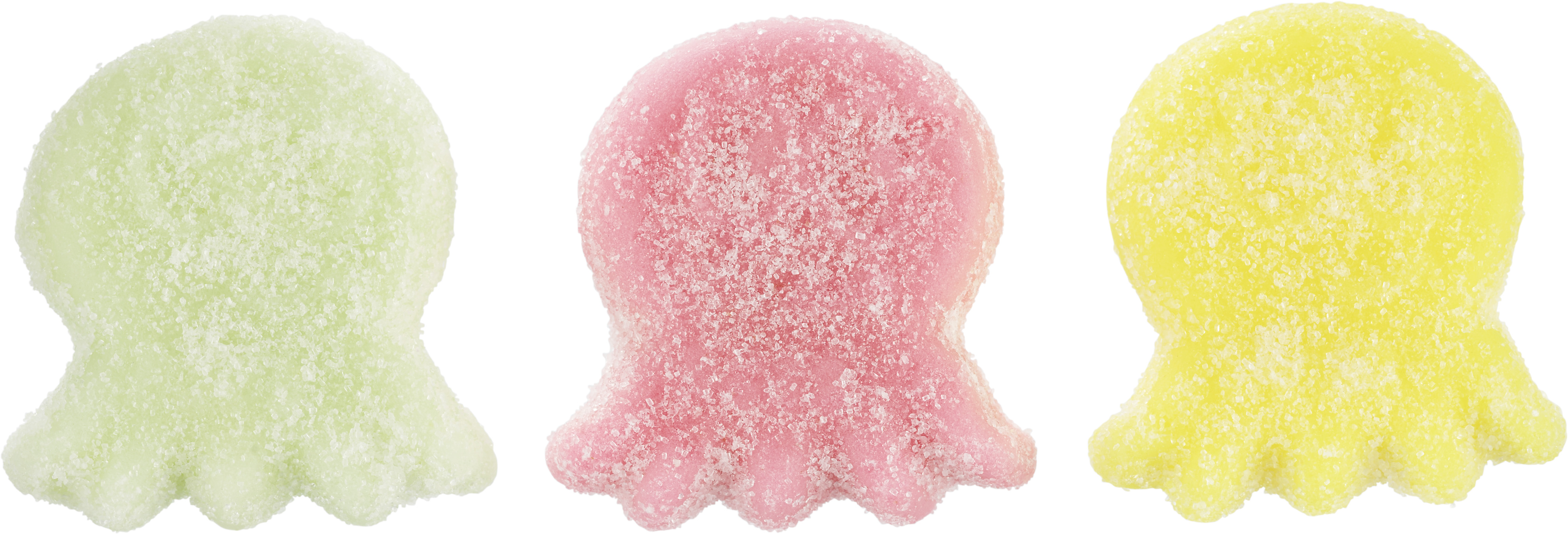 Bläckfiskar Sura Lösvikt