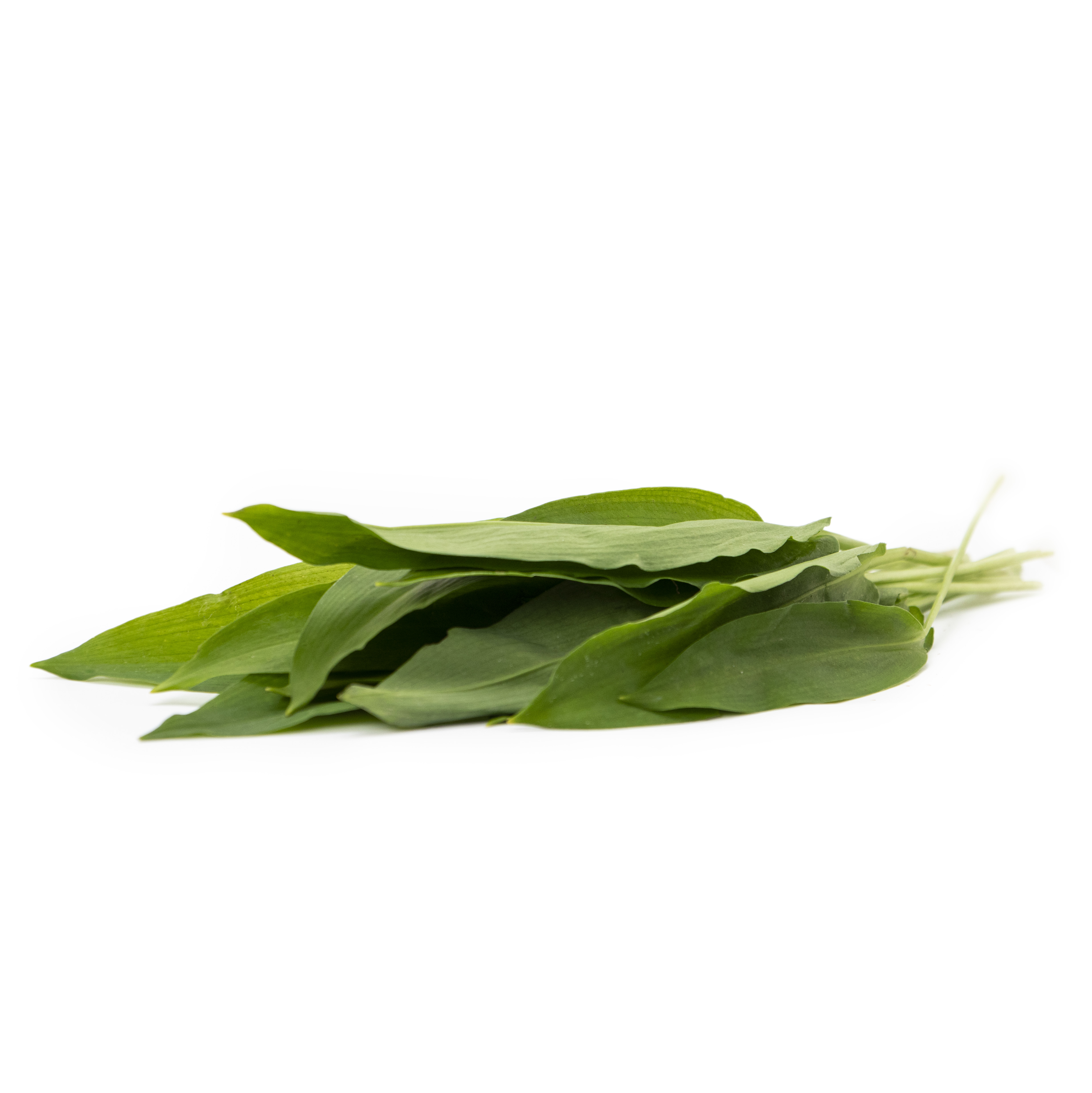 Ramslök EKO KRAV SE