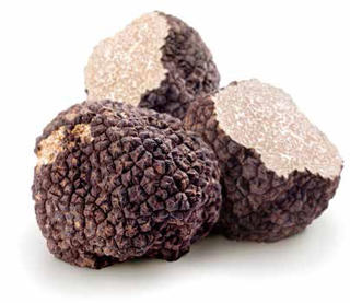 Tryffelsvamp Svart
