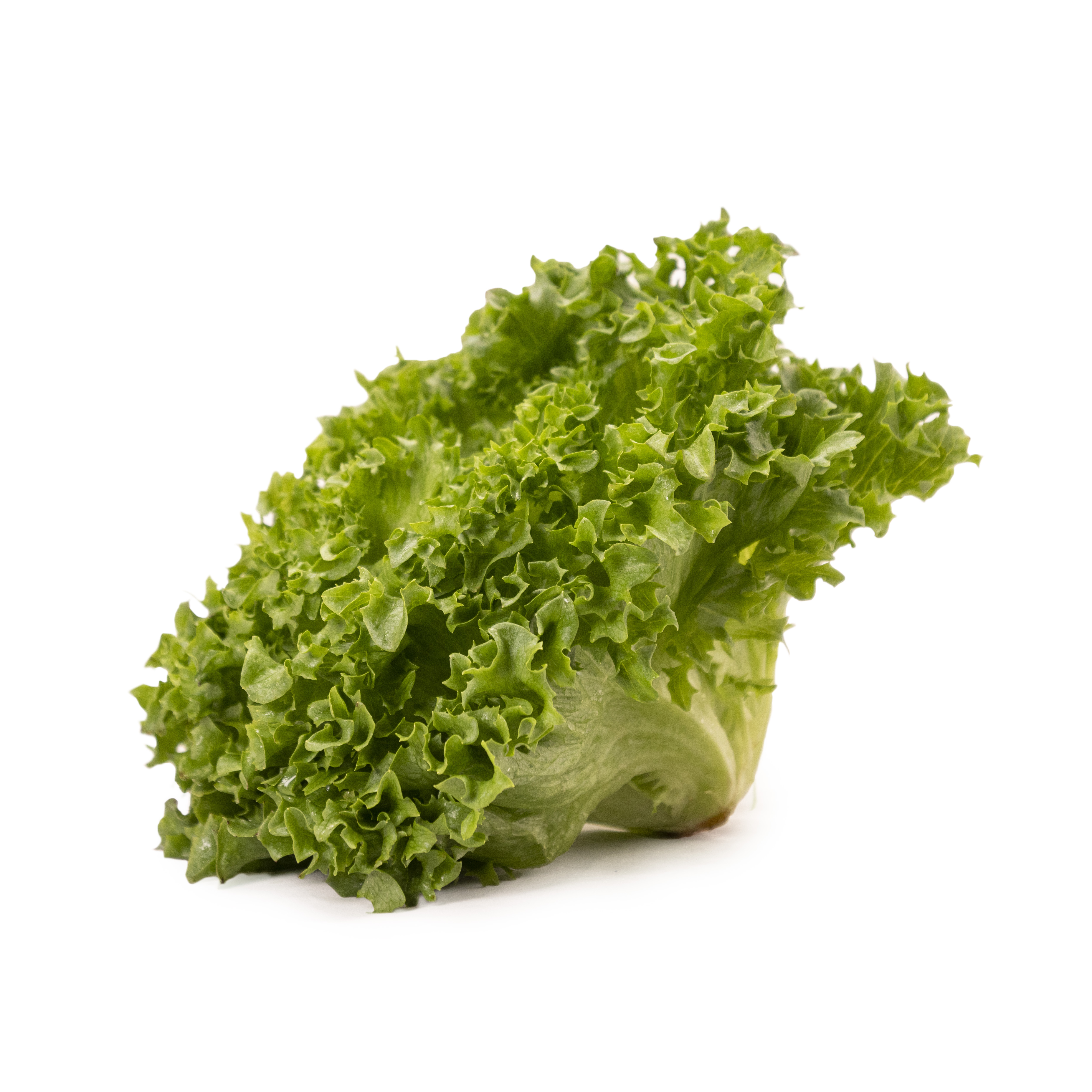 Krispsallat Frillice Klass 1