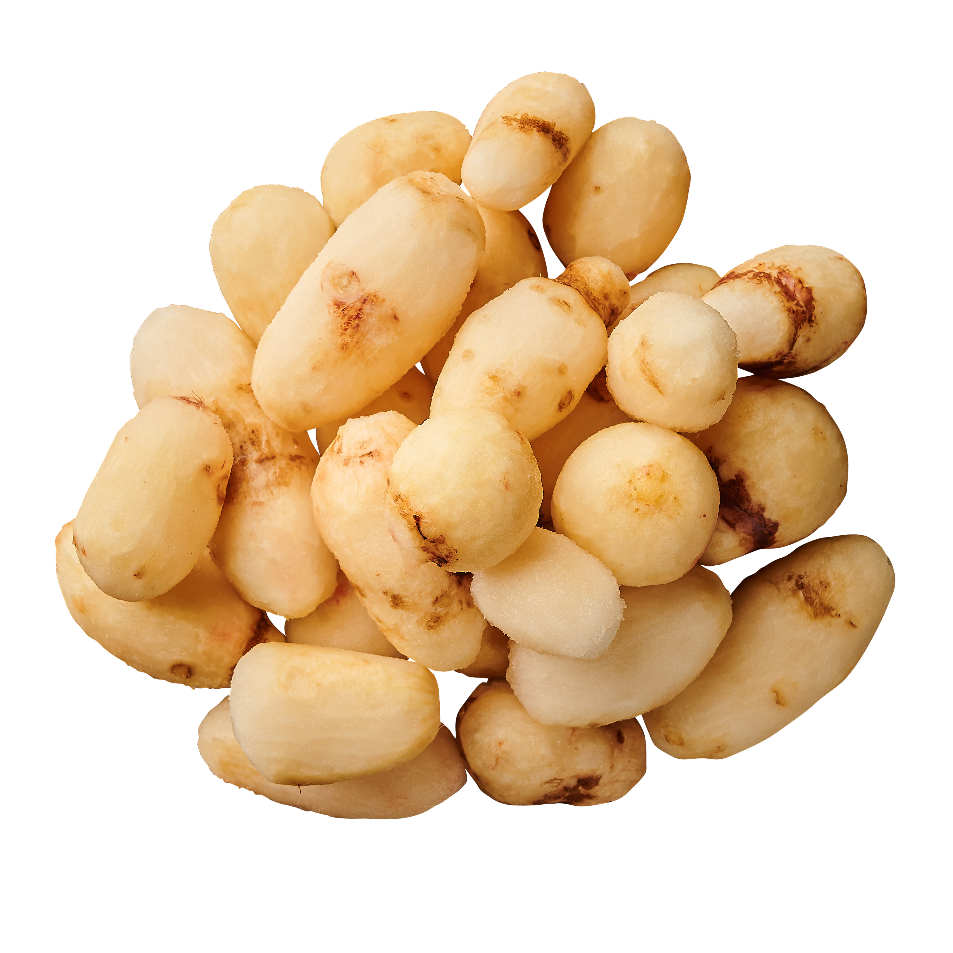 Jordärtskocka Skalad