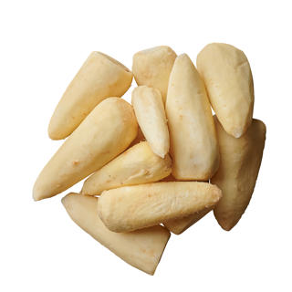 Palsternacka Skalad