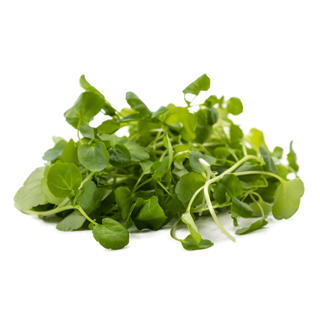 Vattenkrasse i Påse