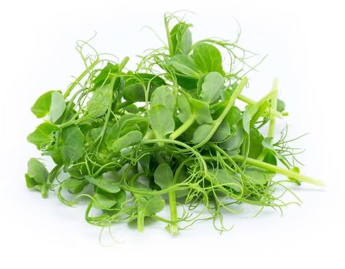 Ärtskott 1 kg Sverige