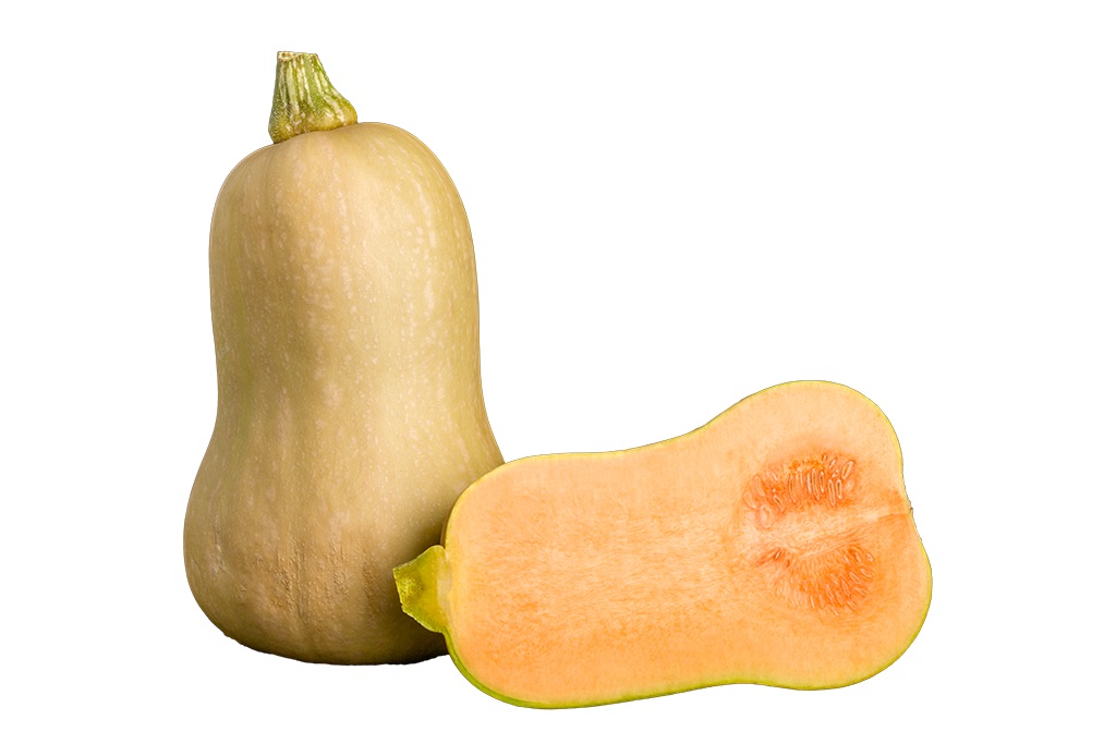 Butternut Squash Pumpa