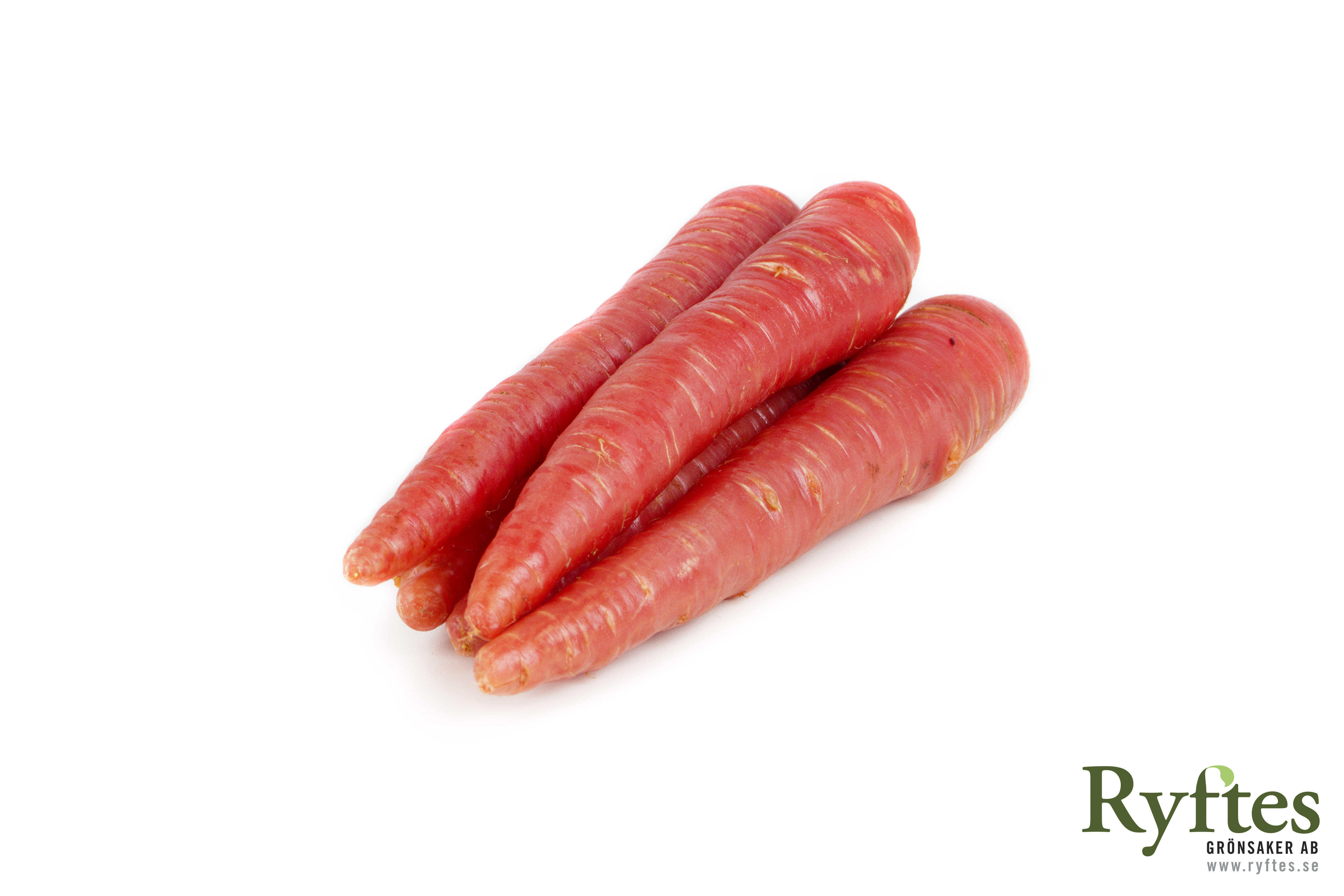 Morot Röd Klass 1 Sverige