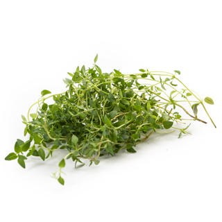 Citrontimjan