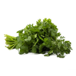 Koriander i Ask EKO KRAV