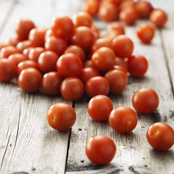 Körsbärtomat i Lösvikt