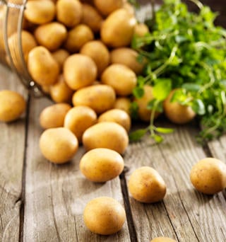 Kulpotatis Tvättad 35-40mm Sverige