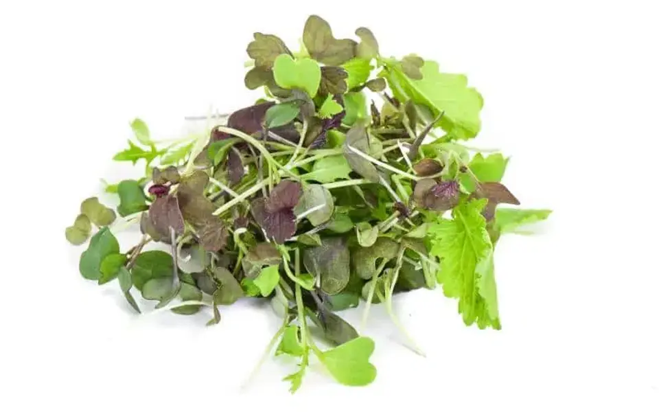 Sallad Specialmix 70 g Mimis