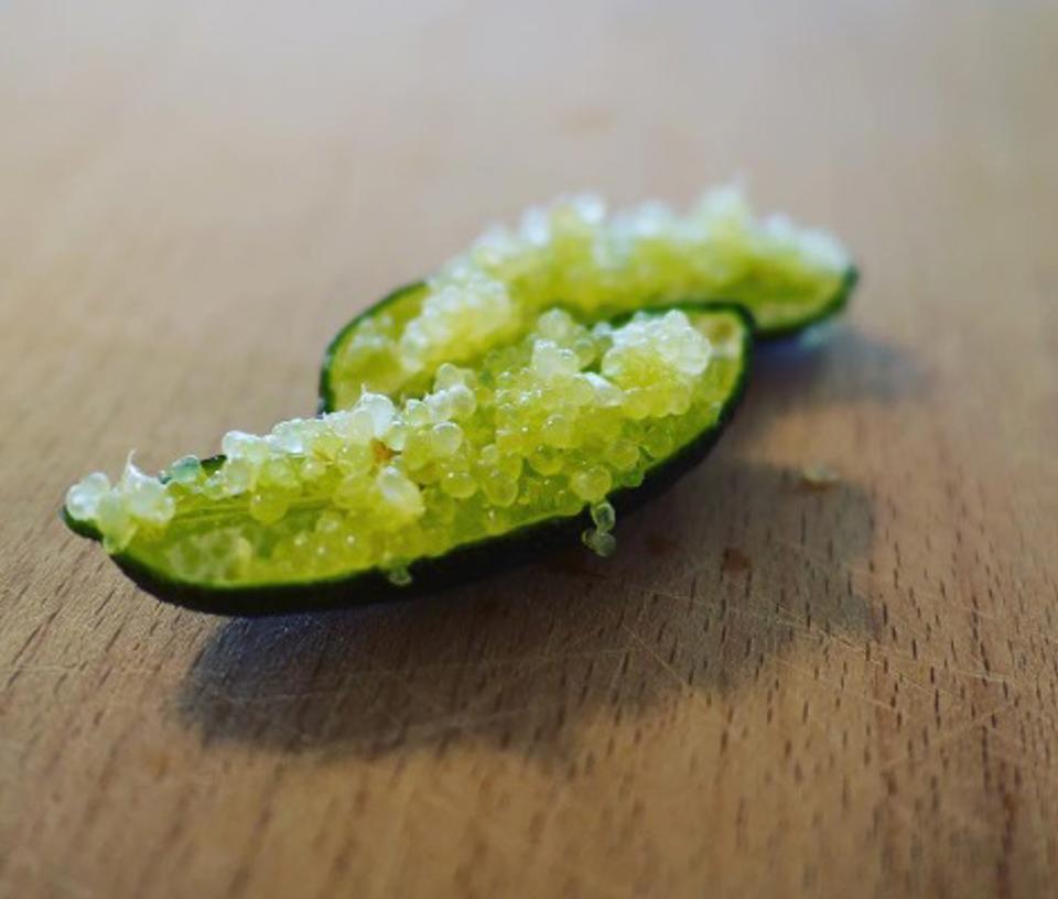 Fingerlime burk