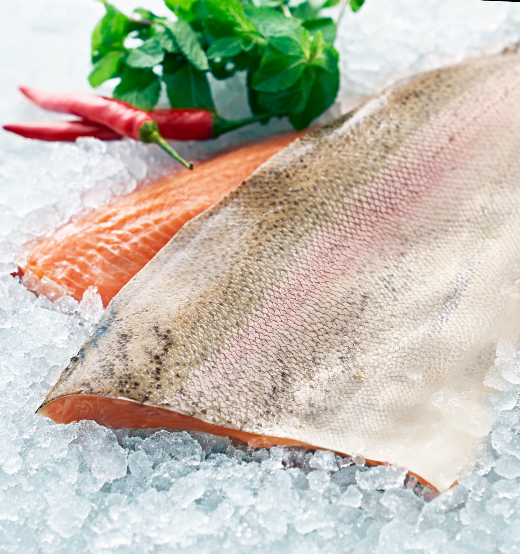 Regnbågsfilé Benfri