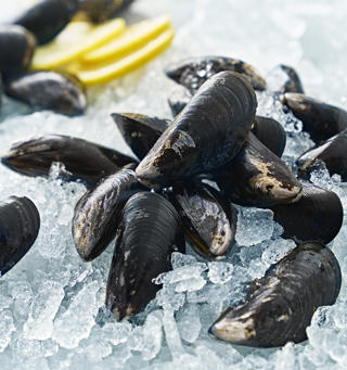 Blåmusslor