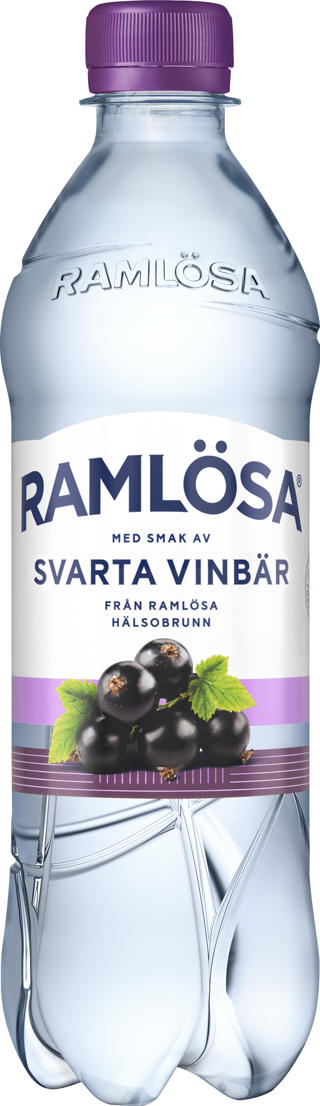 Ramlösa Svarta Vinbär PET
