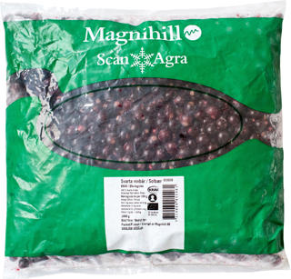 Svarta Vinbär EKO KRAV