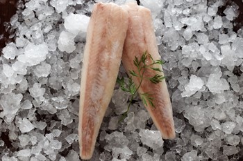 Alaska Kummelfilé 120-160g MSC