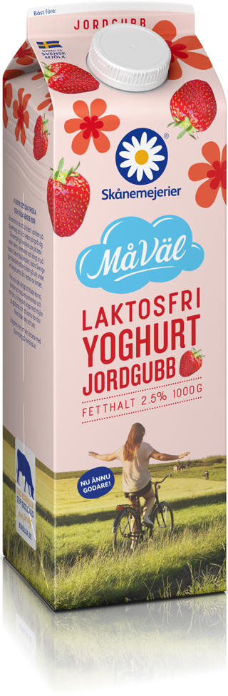 Yoghurt Jordgubb 2,5% Laktosfri