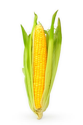 Majskolv Färsk 2-Pack