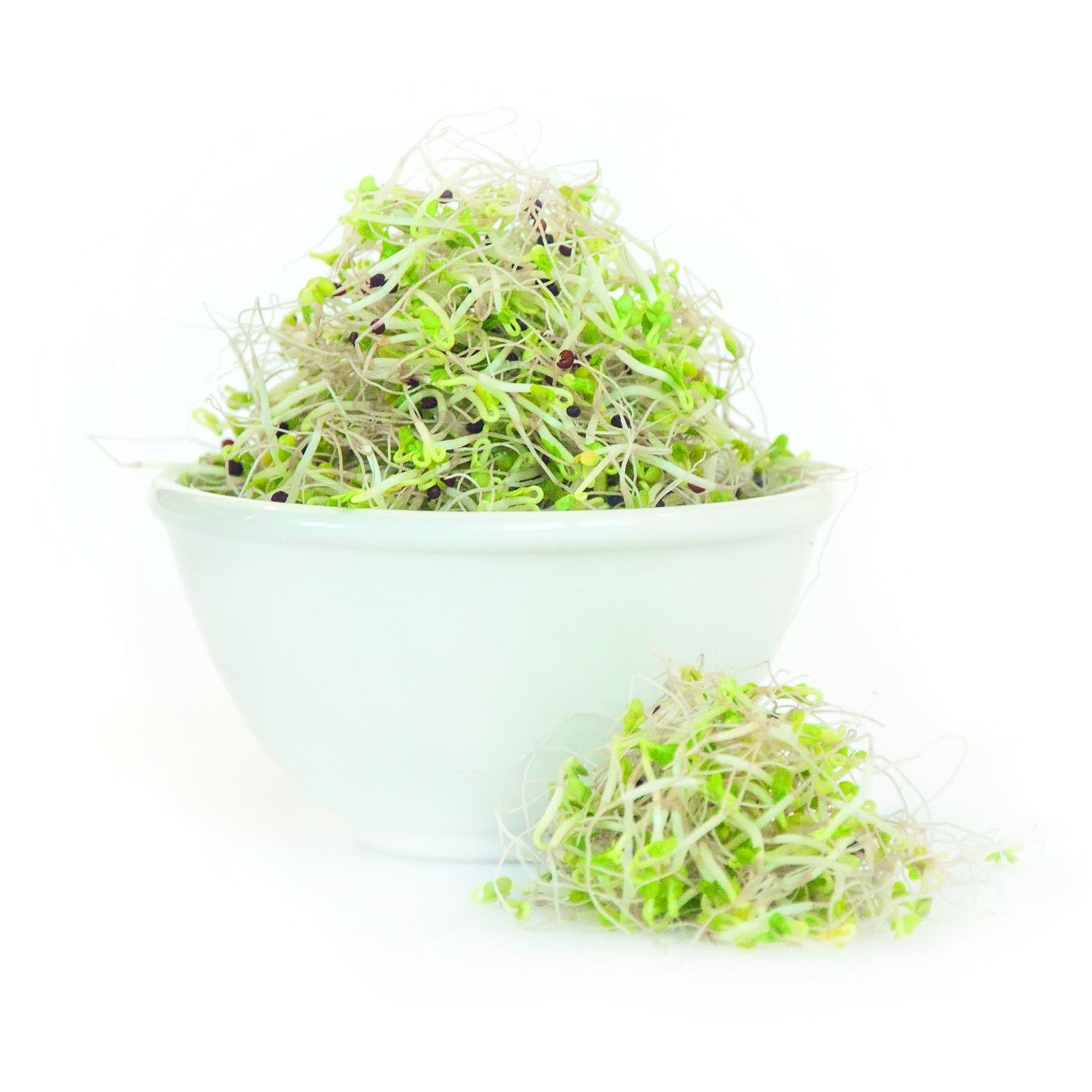 Broccoligroddar EKO KRAV Sverige