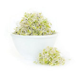 Broccoligroddar EKO KRAV Sverige