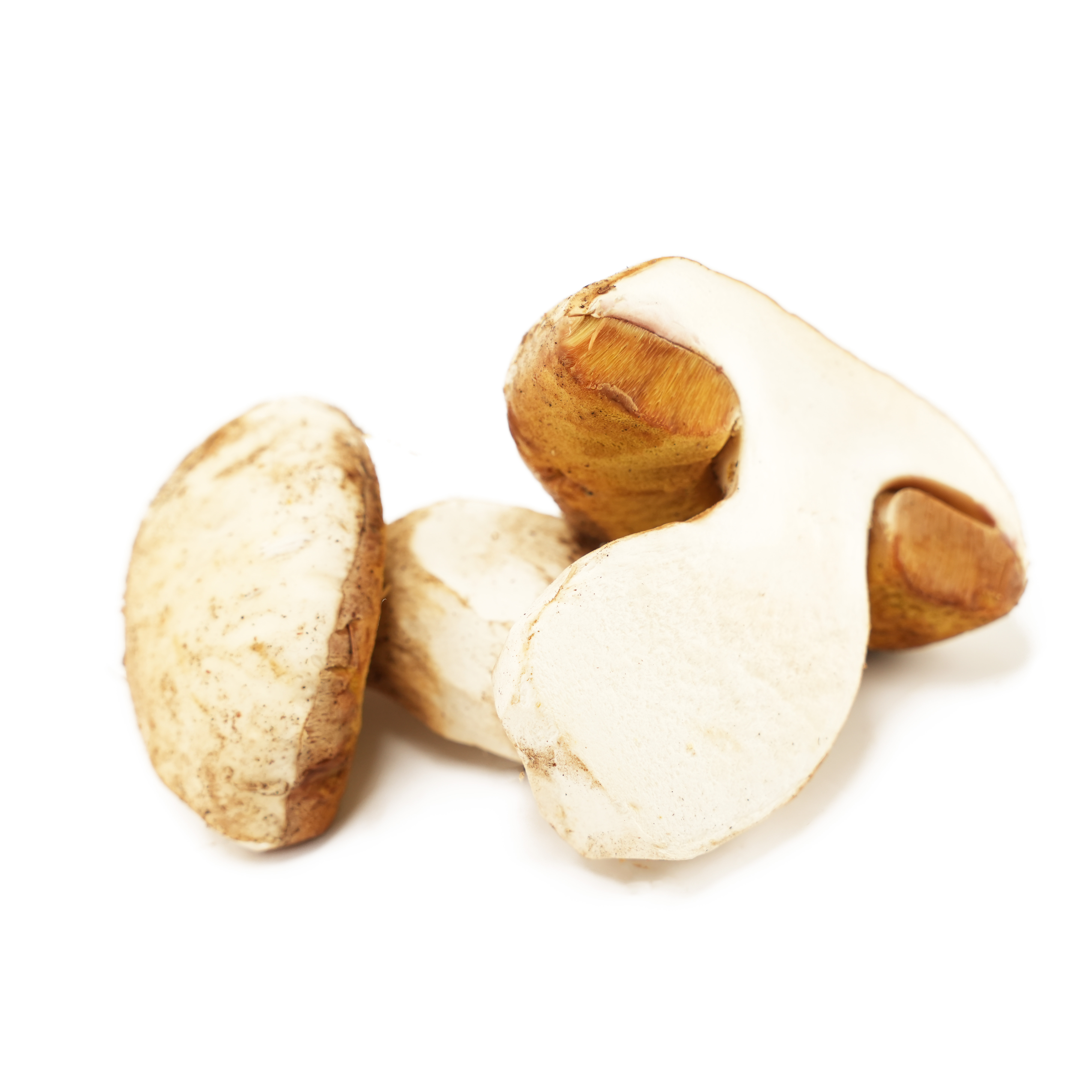 Svamp Karl Johan Delad Sverige