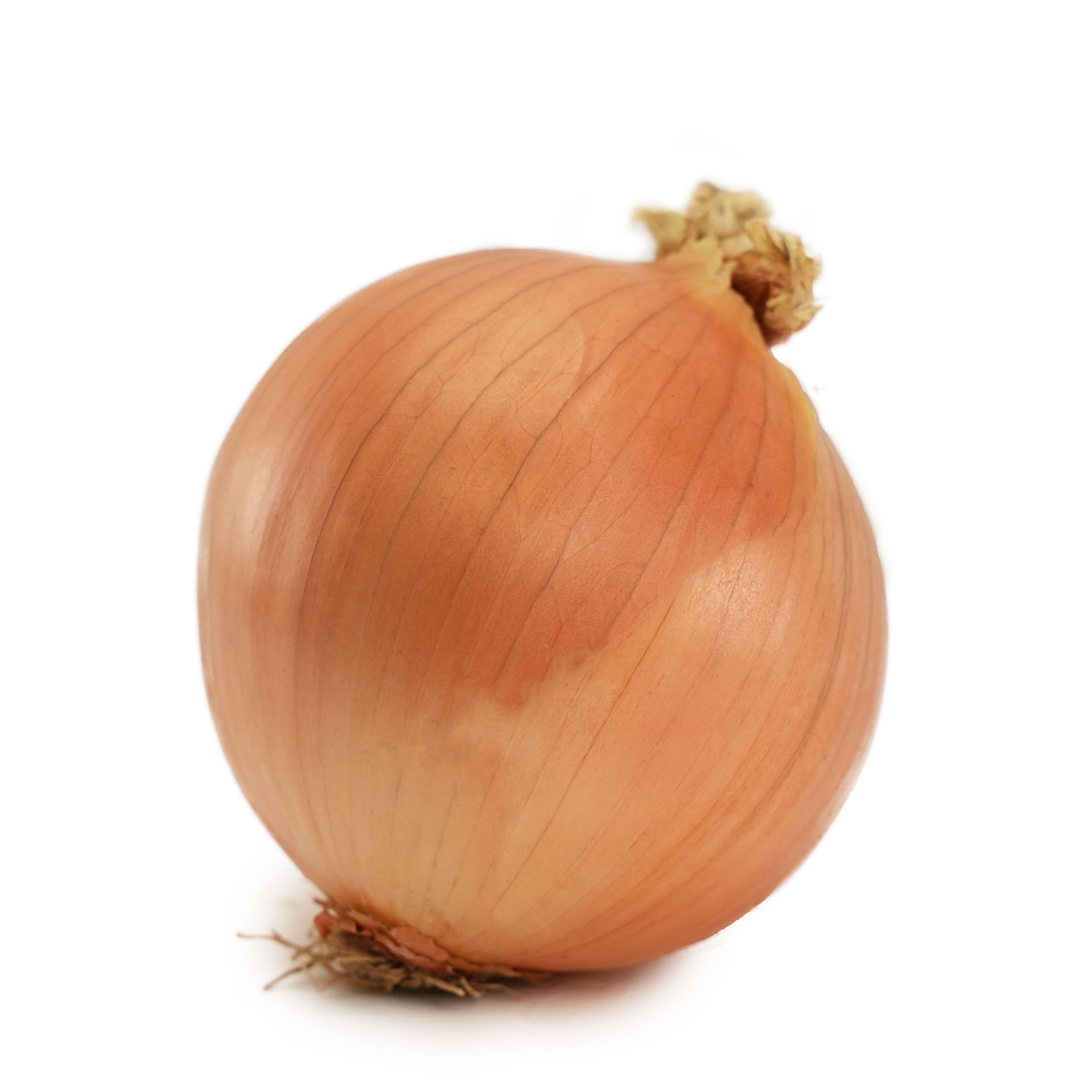 Gul Lök Jumbo Klass 1