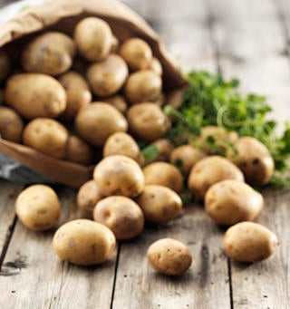 Potatis Medel Tvättad 40-55 mm EKO KRAV Sverige