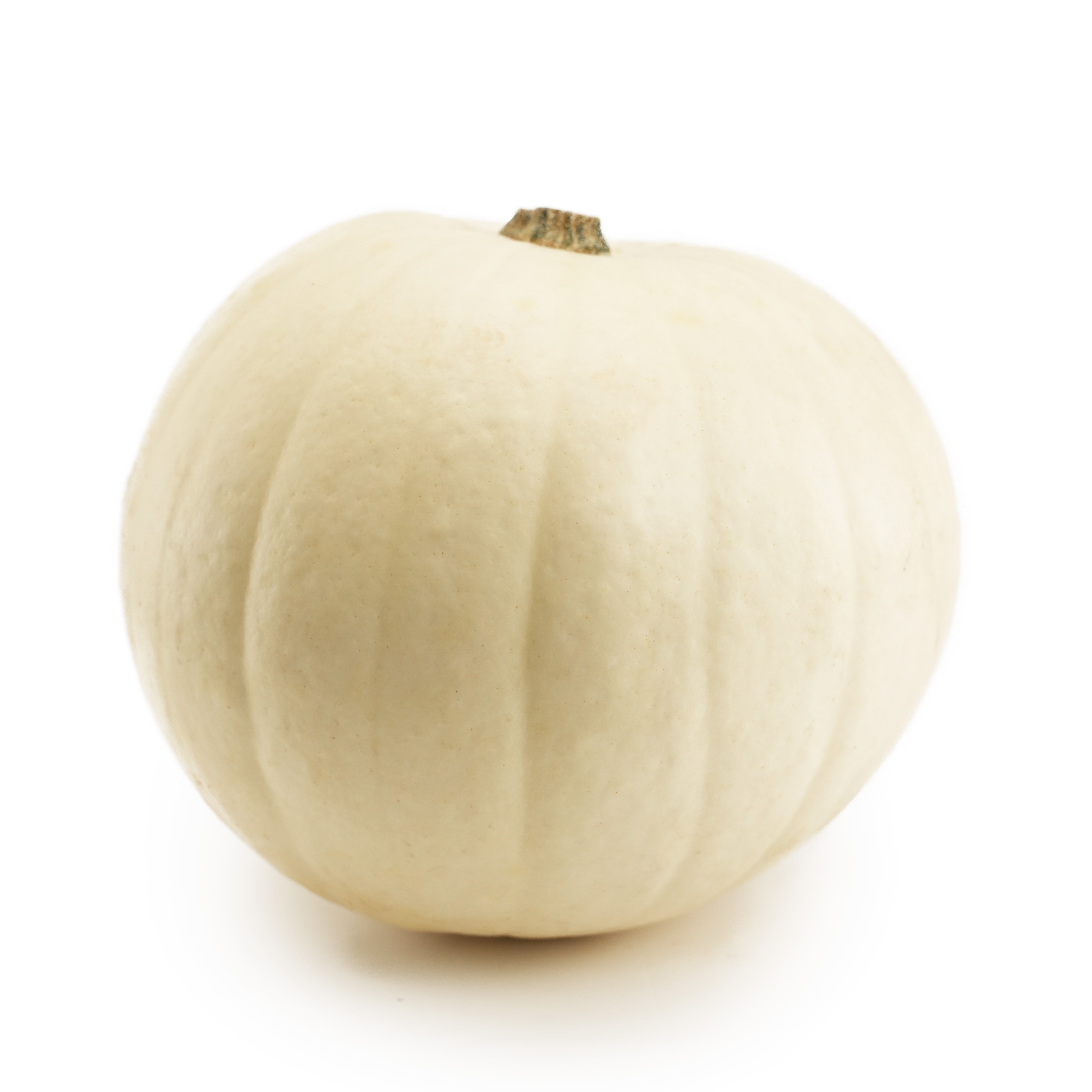 Halloweenpumpa Vit