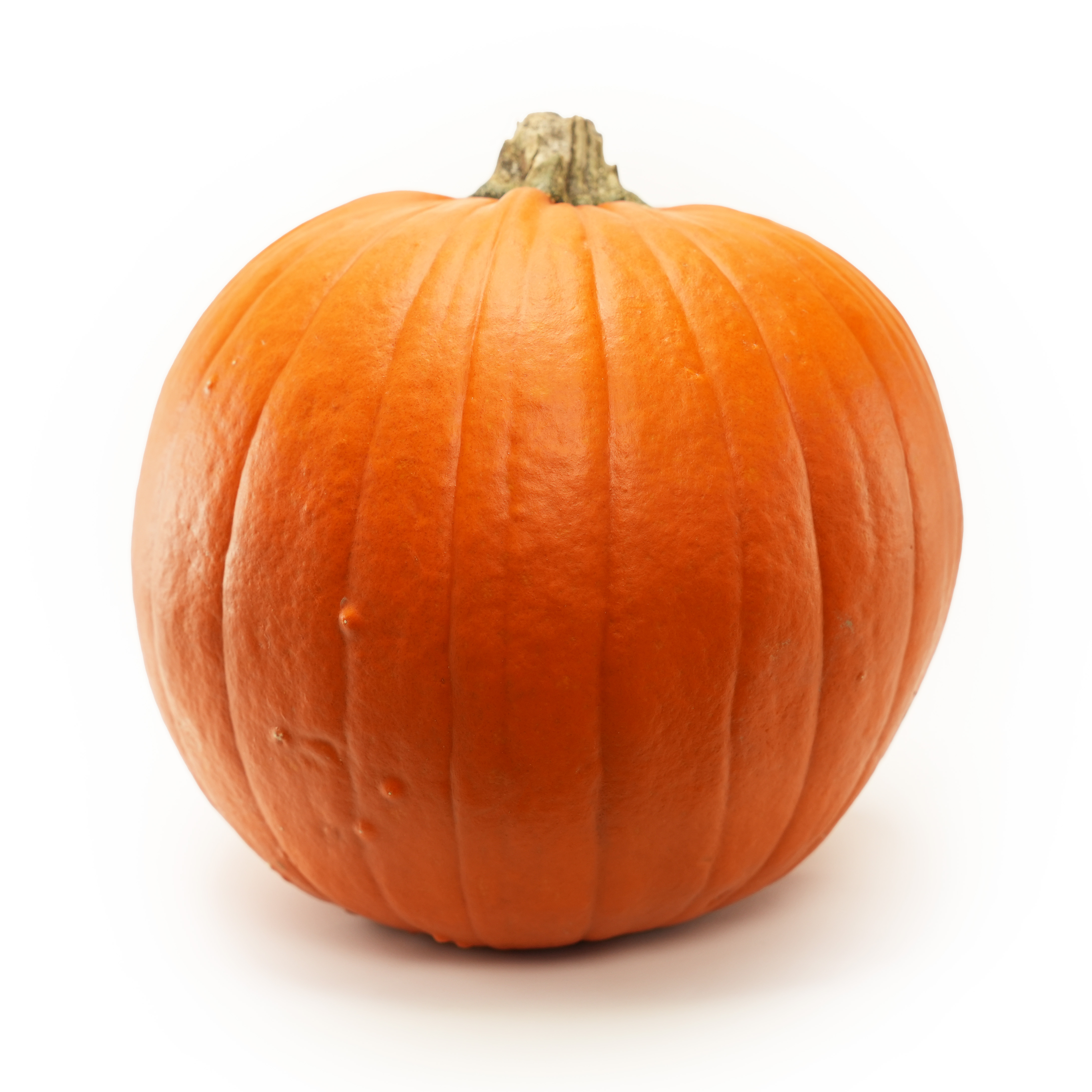 Halloweenpumpa 3-8kg Sverige